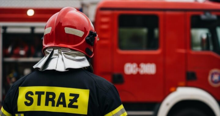 zagubiony-kot-na-drzewie-uratowany-przez-stra--ak--auto-6695